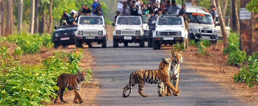 Complete Uttarakhand Tour