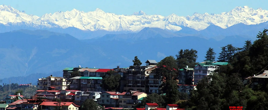 Shimla Luxury Tour